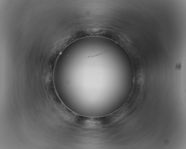 X0000112460515200908241302