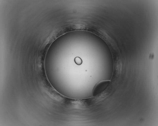 X0000112460516200908241302