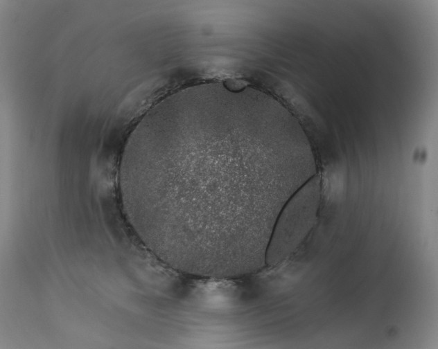 X0000112460517200908241302