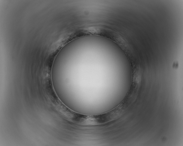 X0000112460518200908241302