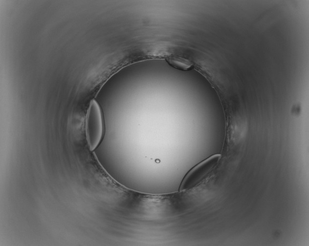 X0000112460521200908241302