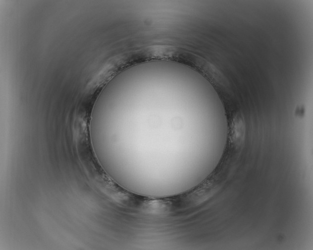 X0000112460522200908241302