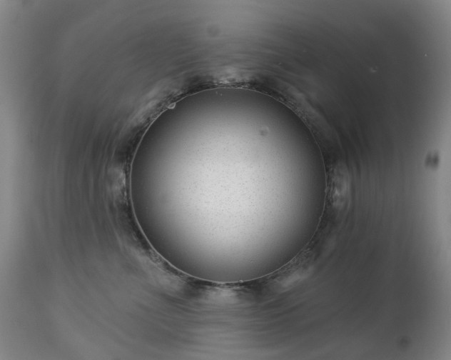 X0000112460523200908241302