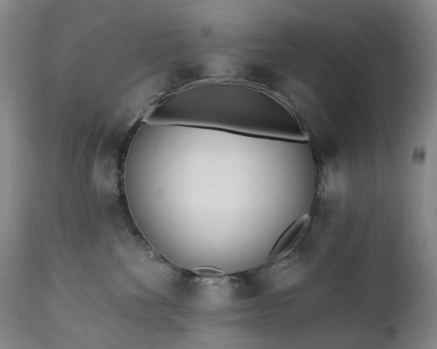 X0000112460524200908241302