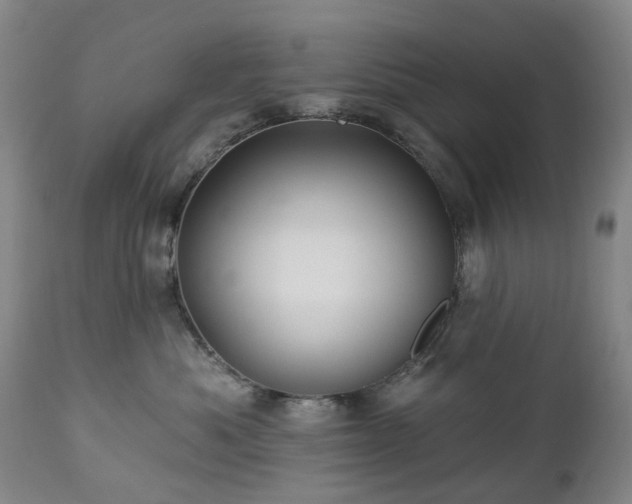 X0000112460525200908241302