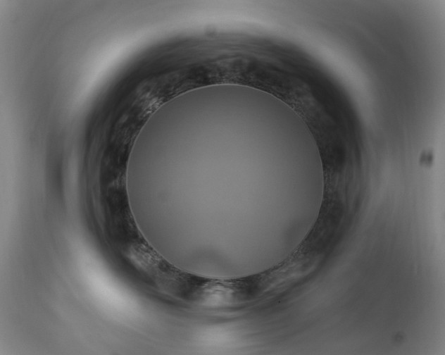 X0000112460526200908241302