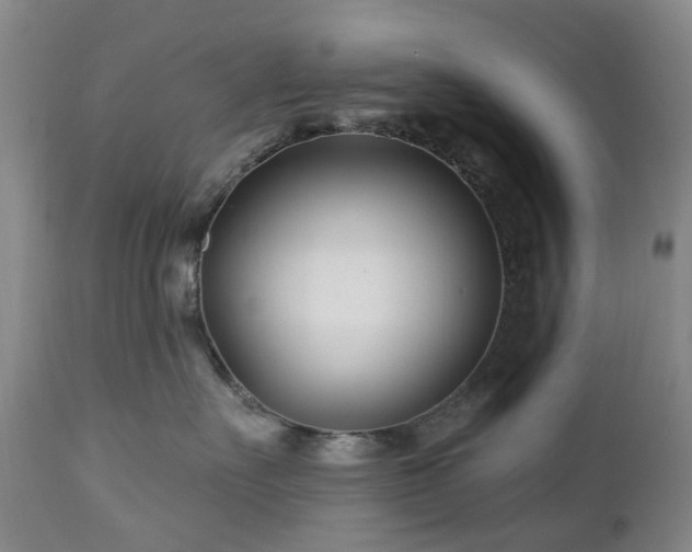 X0000112460527200908241302