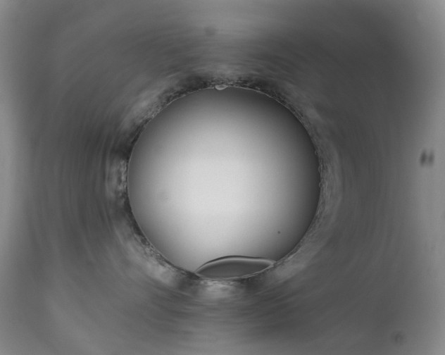 X0000112460528200908241302