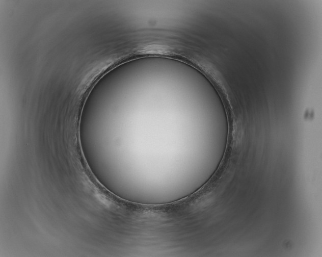 X0000112460529200908241301