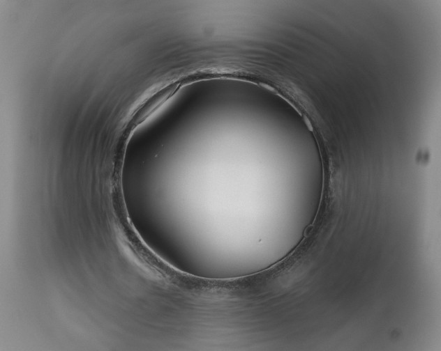 X0000112460530200908241301