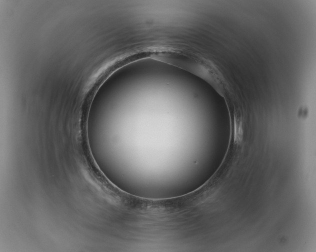 X0000112460531200908241301