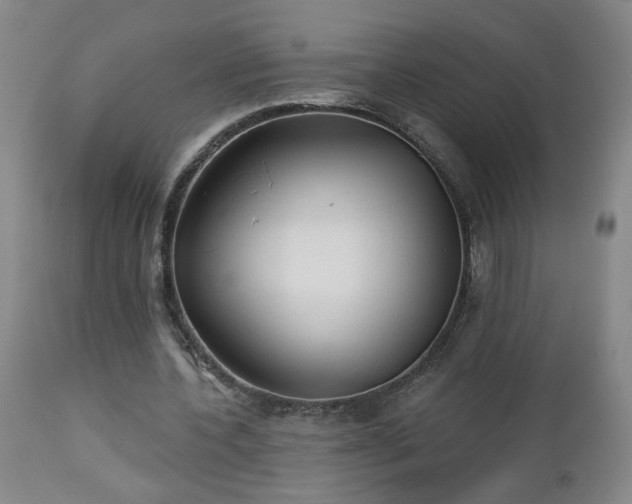 X0000112460532200908241301