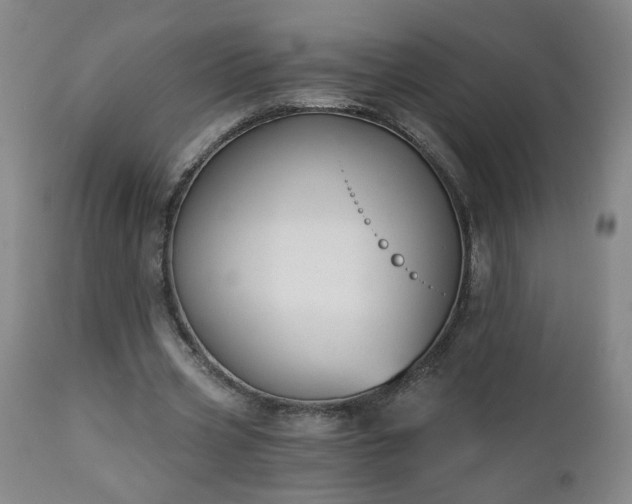 X0000112460533200908241301