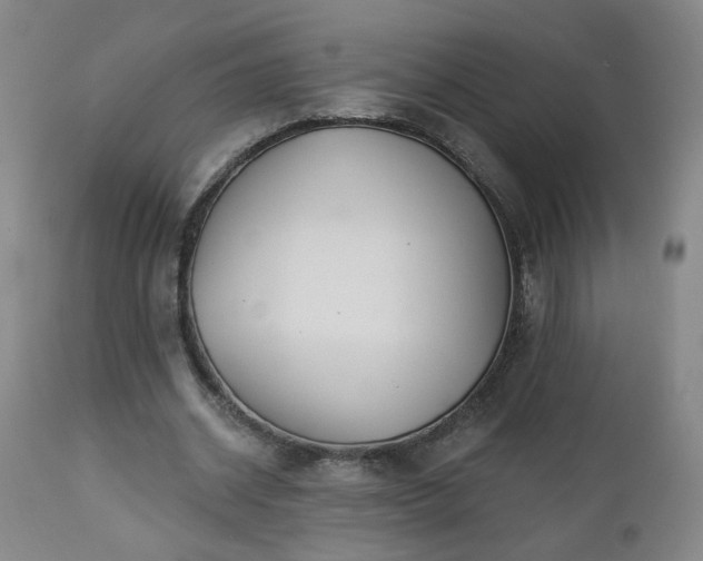 X0000112460534200908241301