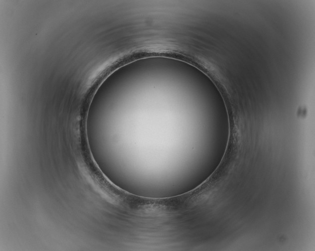 X0000112460535200908241301