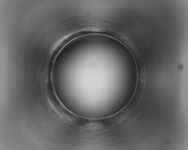 X0000112460536200908241301