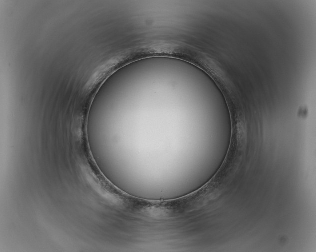 X0000112460537200908241301