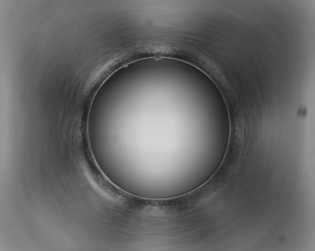 X0000112460538200908241301