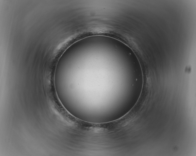 X0000112460539200908241301