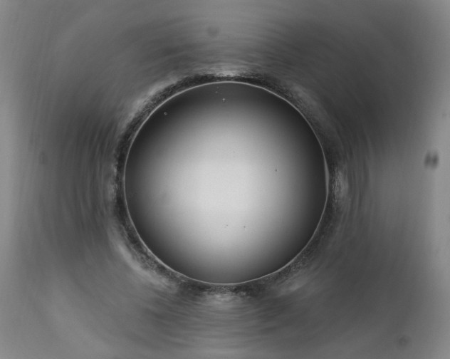 X0000112460540200908241301