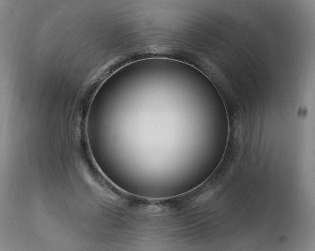 X0000112460542200908241301