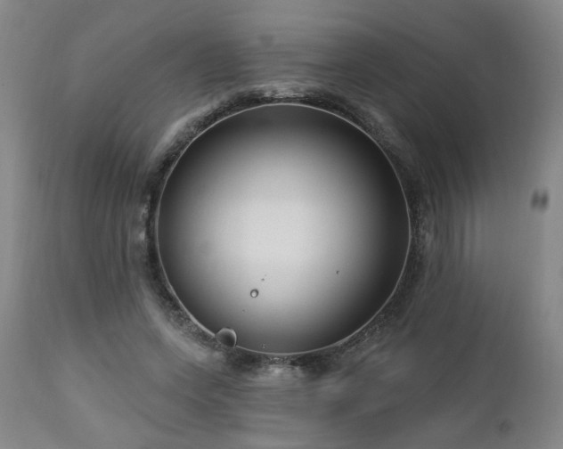 X0000112460543200908241301