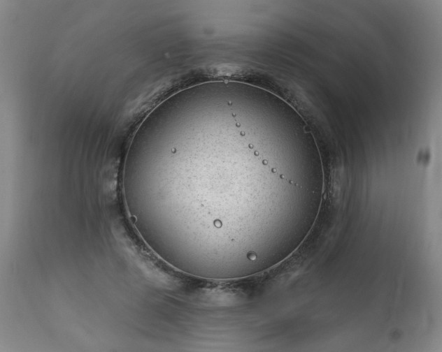 X0000112460545200908241301