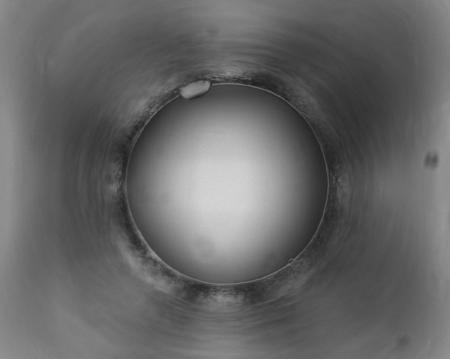 X0000112460546200908241301