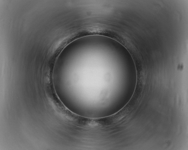 X0000112460547200908241301