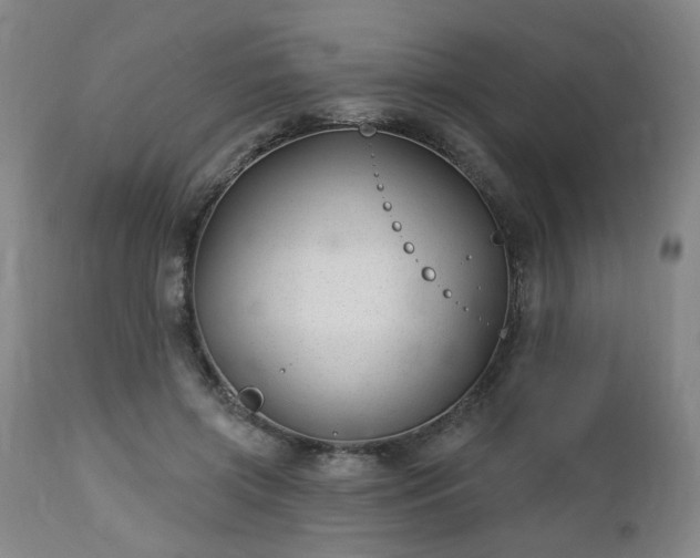 X0000112460549200908241301