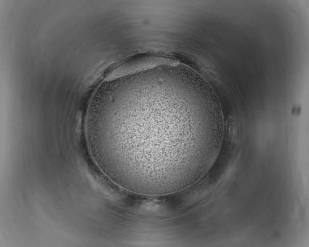 X0000112460550200908241301