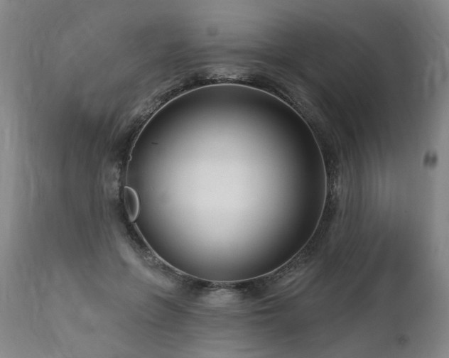 X0000112460551200908241301