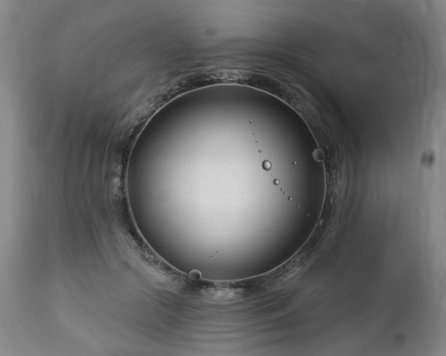 X0000112460553200908241301