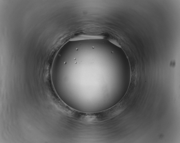 X0000112460554200908241301