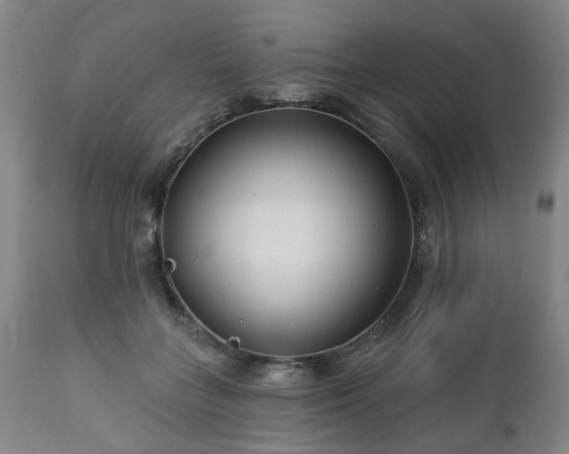 X0000112460555200908241301