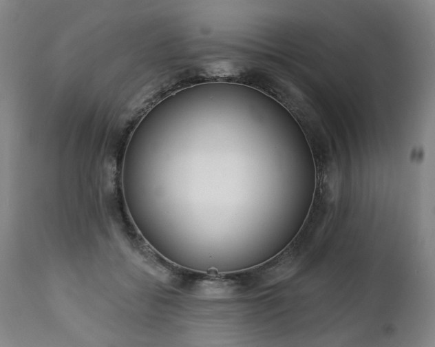 X0000112460556200908241301