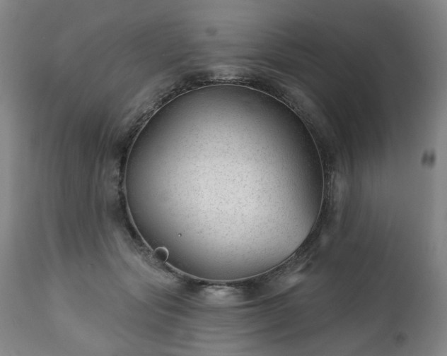 X0000112460557200908241301