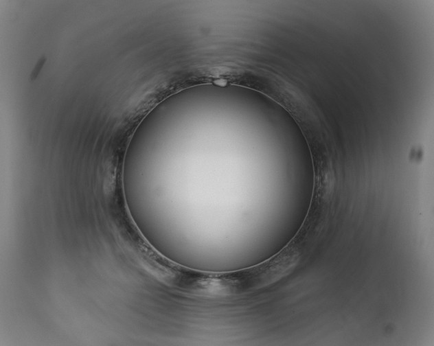 X0000112460558200908241301