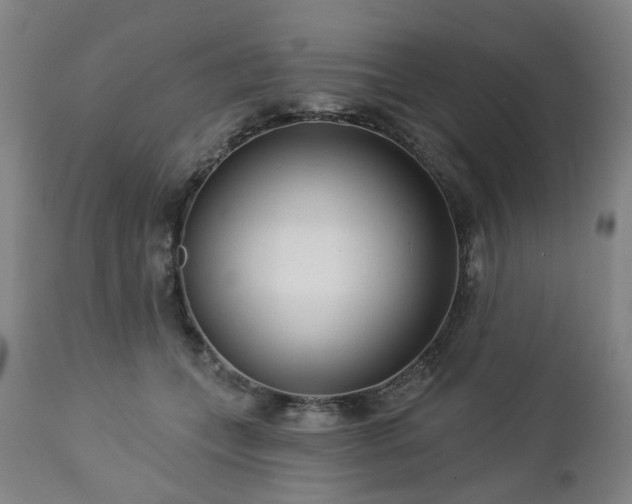 X0000112460559200908241301