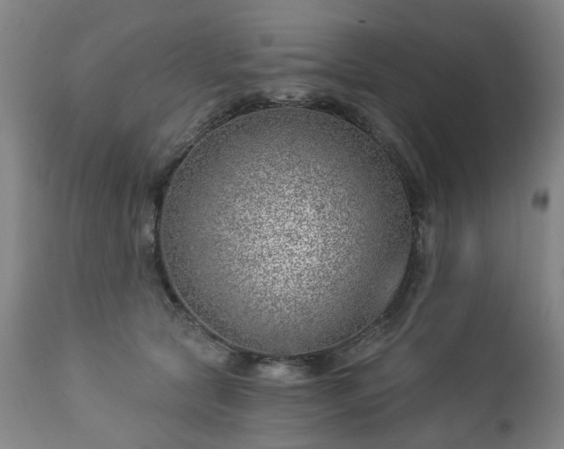 X0000112460561200908241302