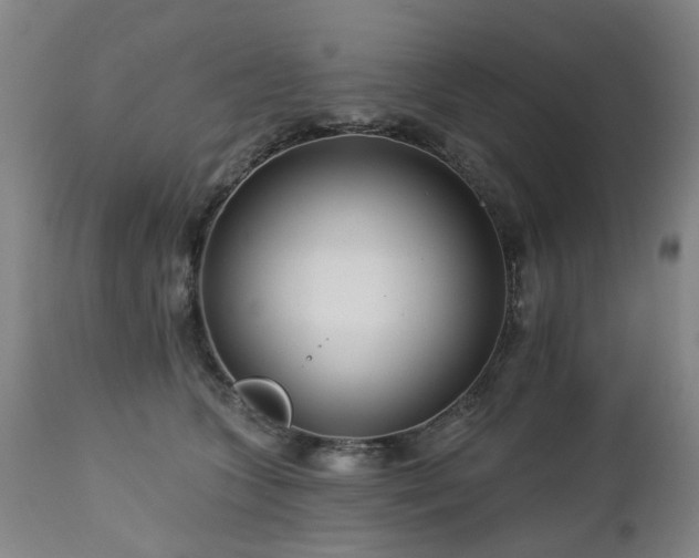 X0000112460563200908241302