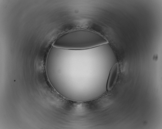 X0000112460564200908241302