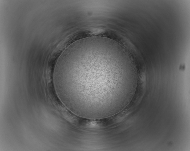 X0000112460565200908241302