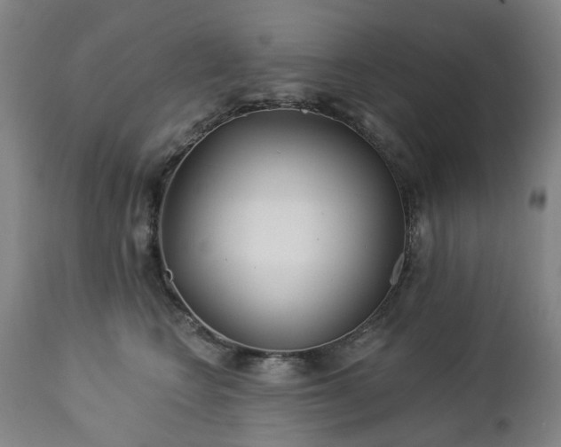 X0000112460566200908241302