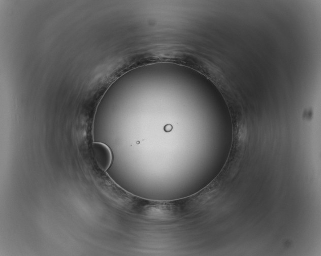 X0000112460567200908241302