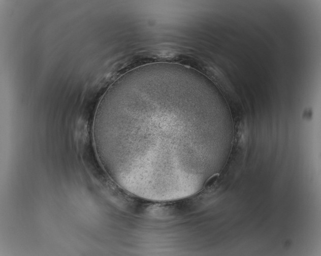 X0000112460568200908241302