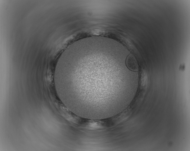 X0000112460569200908241302