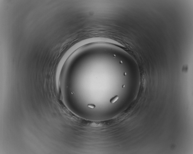 X0000112460570200908241302