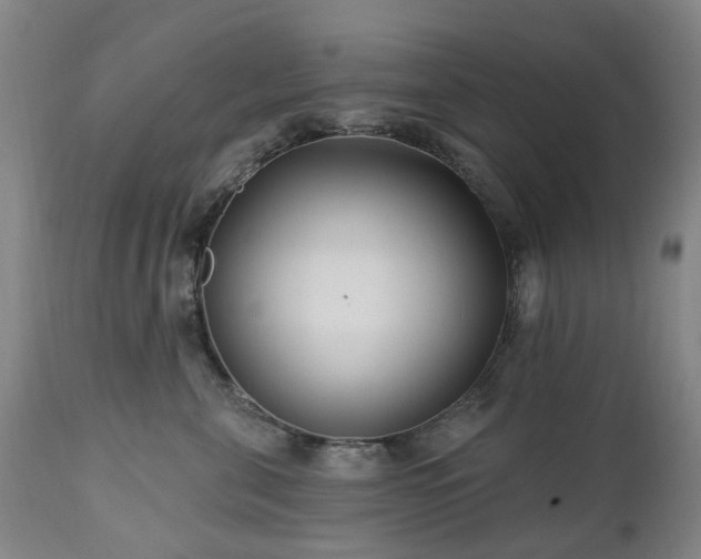 X0000112460571200908241302