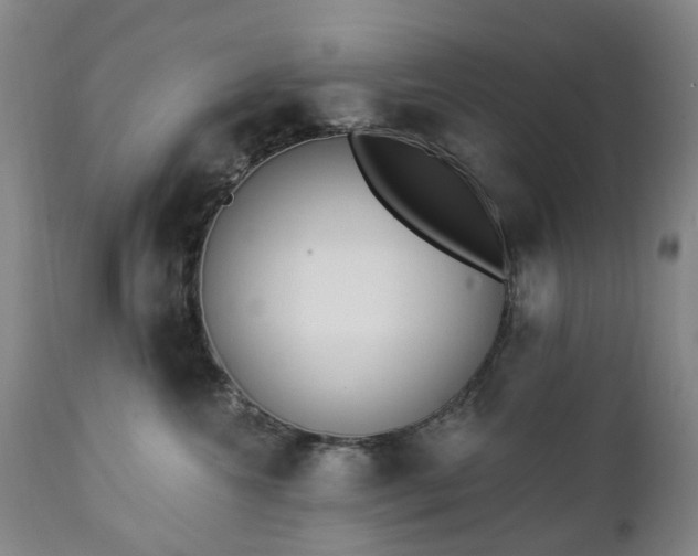 X0000112460572200908241302